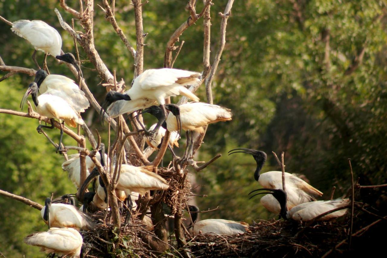 Wasgamu Safari Lodge Wasgamuwa Zewnętrze zdjęcie