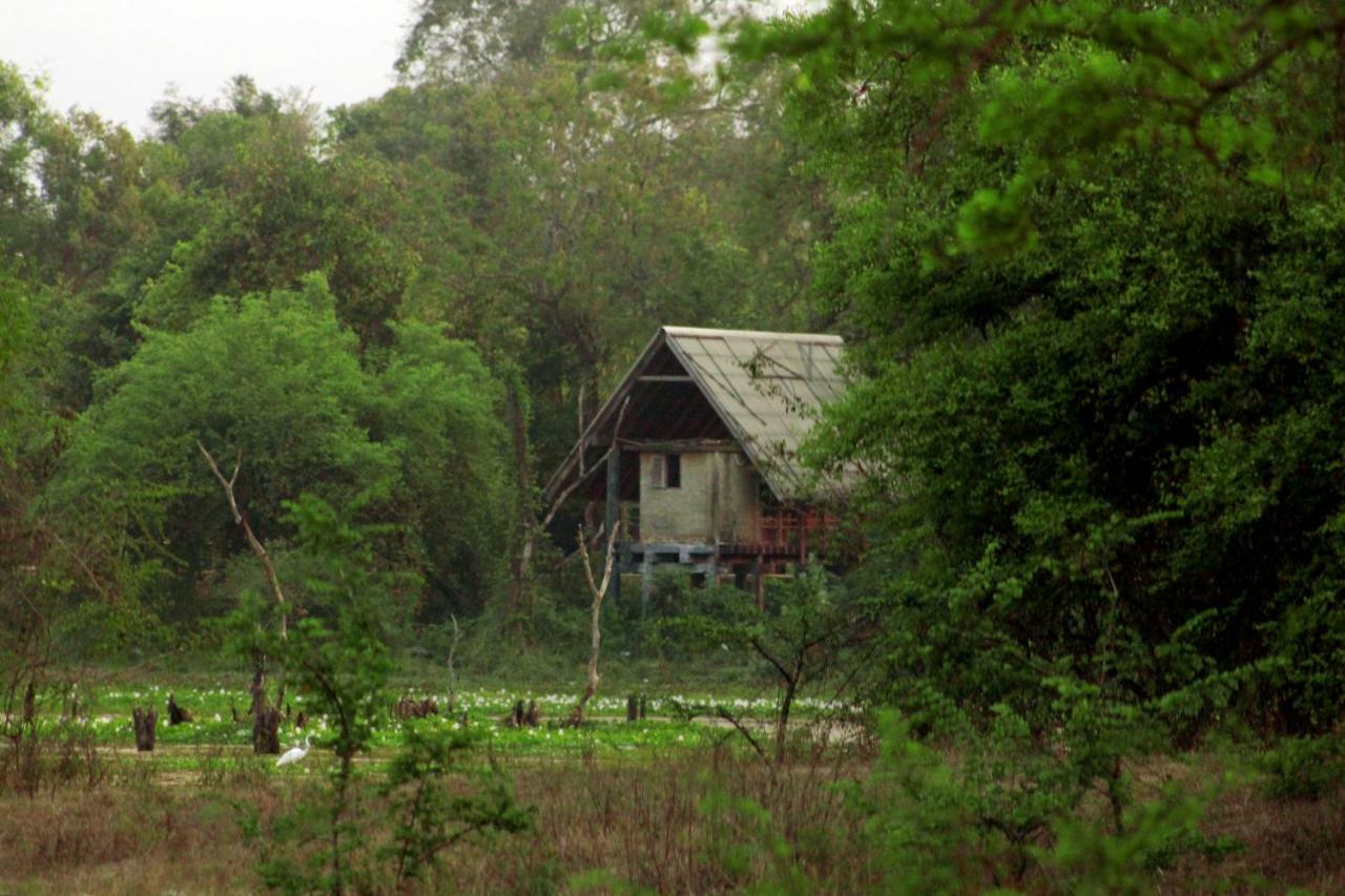 Wasgamu Safari Lodge Wasgamuwa Zewnętrze zdjęcie