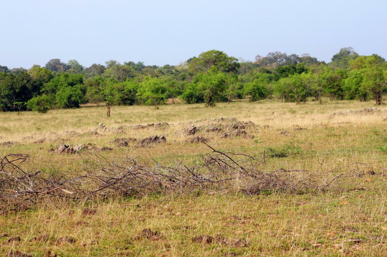 Wasgamu Safari Lodge Wasgamuwa Zewnętrze zdjęcie